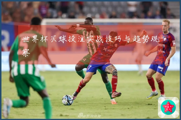 世界杯买球投注实战技巧与趋势观察