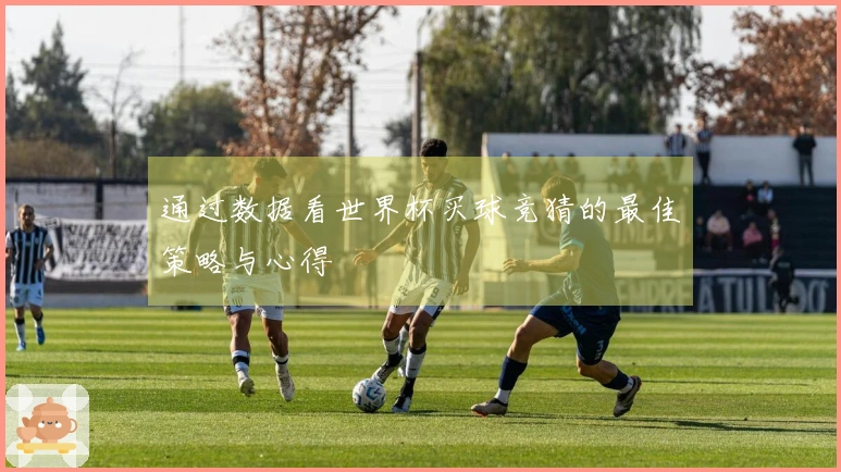 通过数据看世界杯买球竞猜的最佳策略与心得