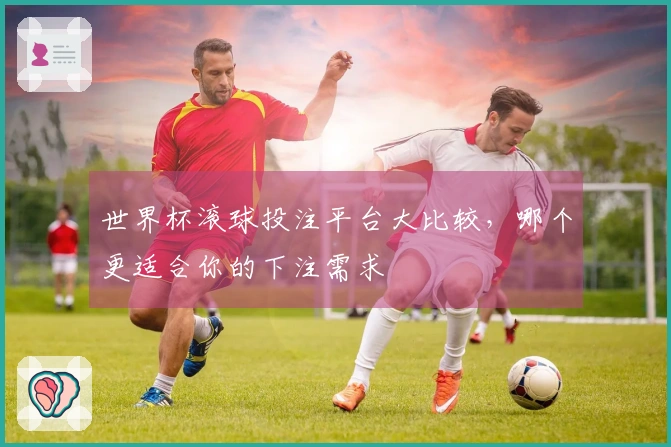 世界杯滚球投注平台大比较，哪个更适合你的下注需求