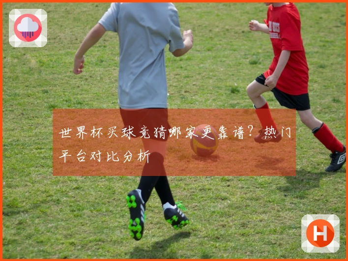 世界杯买球竞猜哪家更靠谱？热门平台对比分析