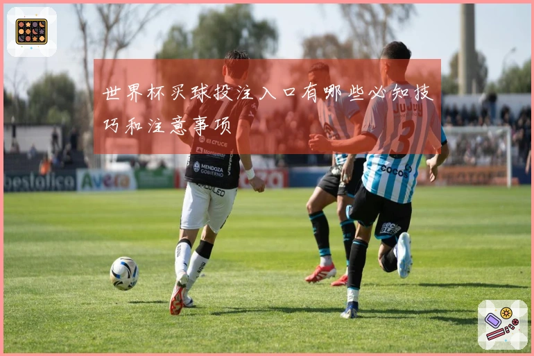 世界杯买球投注入口有哪些必知技巧和注意事项