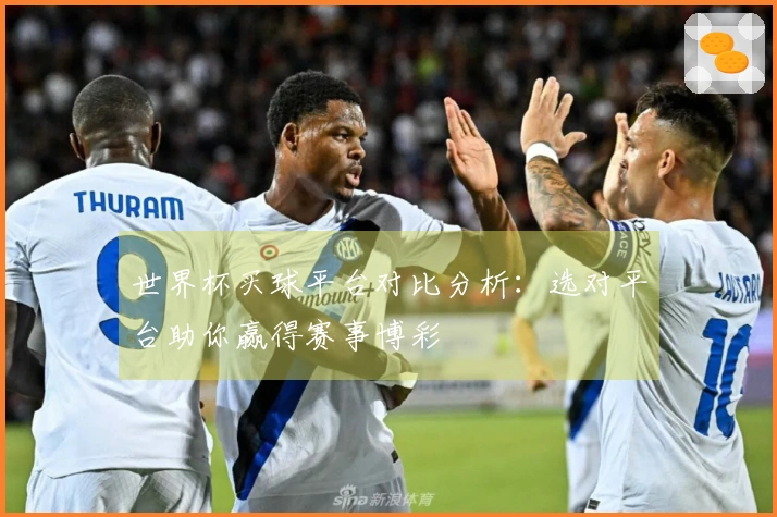 世界杯买球平台对比分析：选对平台助你赢得赛事博彩