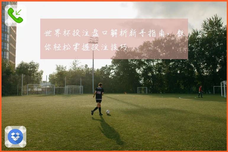 世界杯投注盘口解析新手指南，教你轻松掌握投注技巧