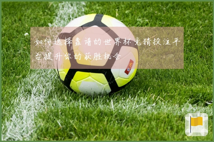 如何选择靠谱的世界杯竞猜投注平台提升你的获胜机会