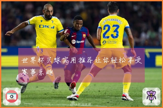 世界杯买球实用推荐让你轻松享受赛事乐趣