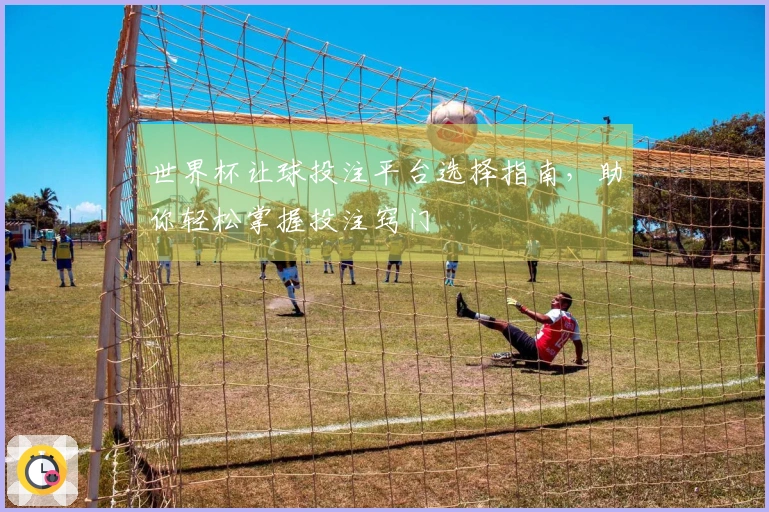 世界杯让球投注平台选择指南，助你轻松掌握投注窍门