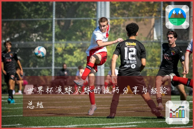 世界杯滚球买球的技巧分享与经验总结