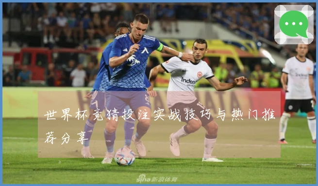 世界杯竞猜投注实战技巧与热门推荐分享