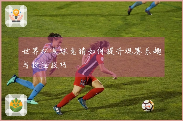 世界杯滚球竞猜如何提升观赛乐趣与投注技巧