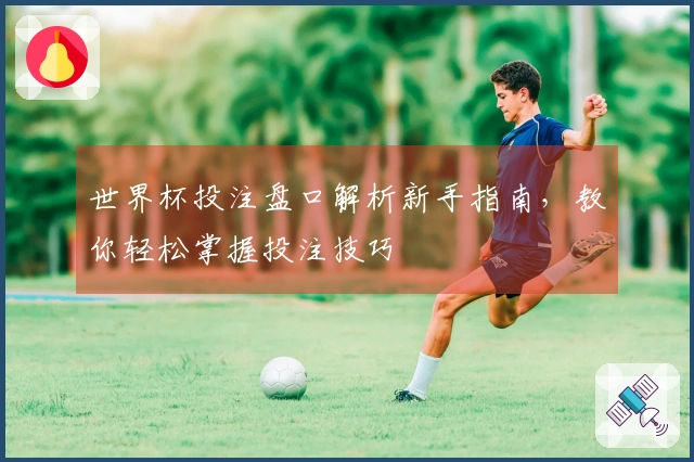 世界杯投注盘口解析新手指南，教你轻松掌握投注技巧