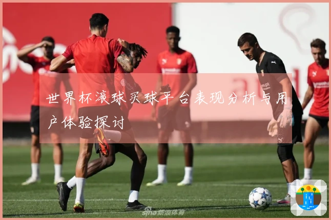 世界杯滚球买球平台表现分析与用户体验探讨