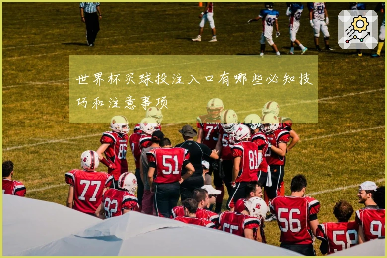 世界杯买球投注入口有哪些必知技巧和注意事项