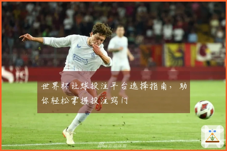 世界杯让球投注平台选择指南，助你轻松掌握投注窍门